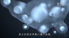 图片名称
